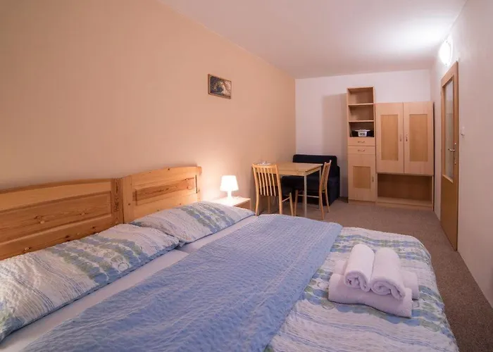 Pohoda 3* Cesky Krumlov